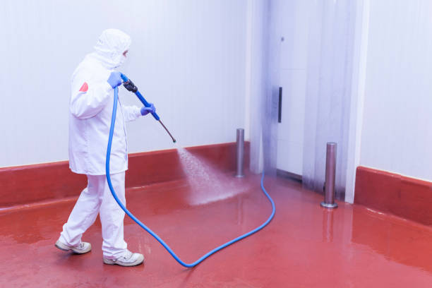 Best House Exterior Washing  in Coal City, WV