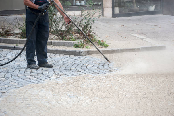 Best Sidewalk and Walkway Cleaning  in Coal City, WV