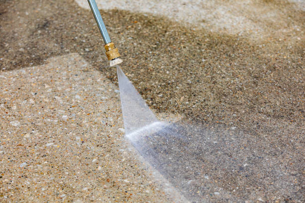 Best Gutter Cleaning  in Coal City, WV